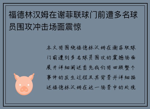 福德林汉姆在谢菲联球门前遭多名球员围攻冲击场面震惊